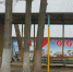 лагерь - Novosti-Saratova.Ru
