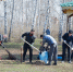 субботник, Кумысная поляна - Novosti-Saratova.Ru