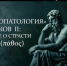 Логос приглашает на встречу - Свято-Троицкий собор