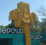 Житель Питерки занял у знакомого деньги и не вернул - теперь грозит статья за мошенничество - SaratovNews.Ru