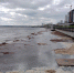 photo_2026-04-23_19-45-54 - Novosti-Saratova.Ru