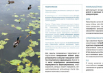 город-сад31.jpg