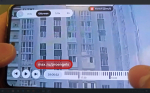 В Энгельсе новорожденных котят выкинули с 8-го этажа. Полиция начала проверку