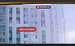 В Энгельсе новорожденных котят выкинули с 8-го этажа. Полиция начала проверку